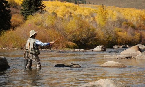 Breckenridge Colorado Fly Fishing Guides