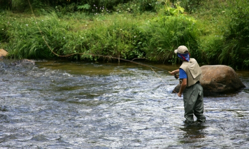 Colorado Fishing