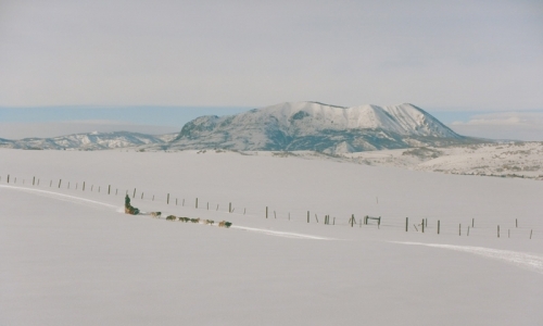 Breckenridge Colorado Dog Sledding