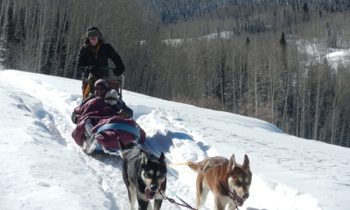 sledding breckenridge breckenridge colorado sledding sled tours alltrips sledding breckenridge breckenridge colorado sledding sled tours alltrips