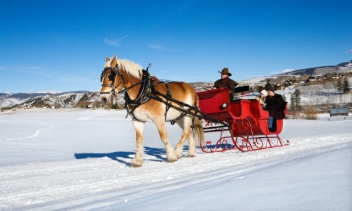 Breckenridge Sleigh Rides