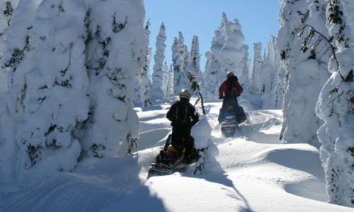Breckenridge Colorado Snowmobile