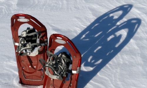 Breckenridge Snowshoeing