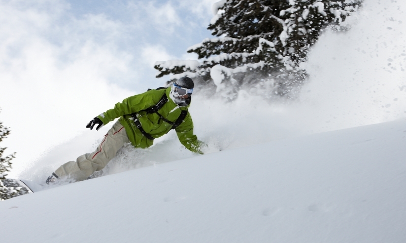 Skiing Powder Snowboarding