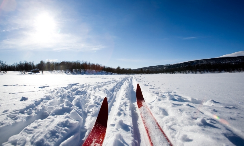 Cross Country Skiing