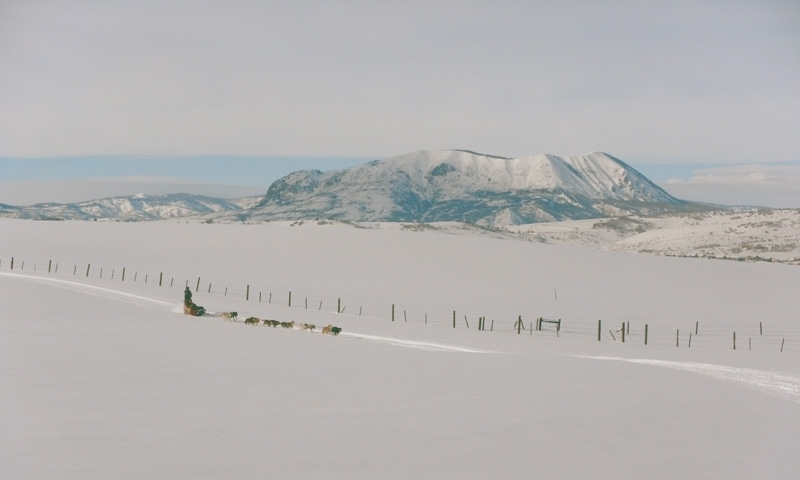 Steamboat Springs Colorado Dog Sledding