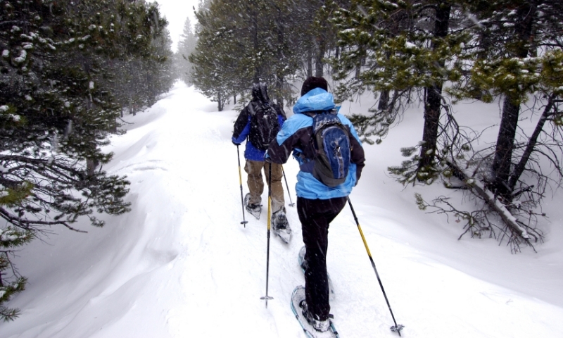 Snowshoeing Cross Country Skiing Yellowstone