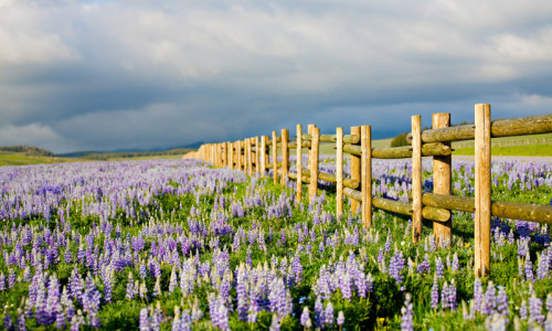 Ten Mile Recreational Pathway