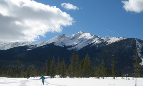 Cross Country Skiing