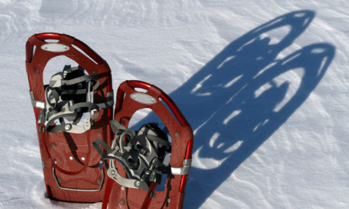 Snowshoeing